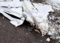 Дрон упал в центре Чернигова: что известно