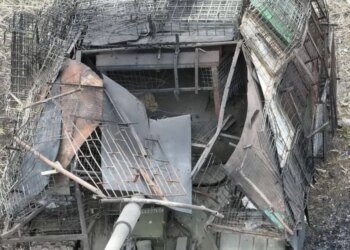 Ежедневные потери: ВСУ продолжают уменьшать армию РФ