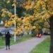 Київ під ударом стихії: сильний вітер загрожує людям і автівкам