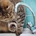 Нічна атака на Київ: гаряча вода відсутня в семи районах