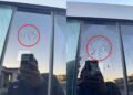 «Невидимые» надписи на Tesla Cybertruck: вандализм или дефект?