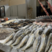 Не форель и не лосось: какая рыба полезнее и стоит копейки