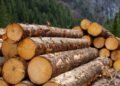 Украина запретила экспорт необработанной древесины