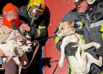 Дим і паніка в багатоповерхівці: рятувальники Київщини вивели з вогню дитину