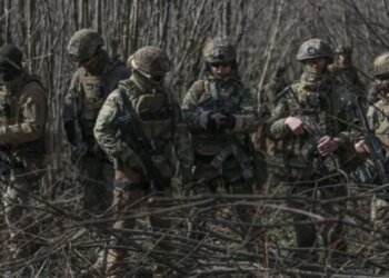 «Тихо и без потерь»: ССО уничтожили позиции врага в лесу за одну операцию. ВИДЕО