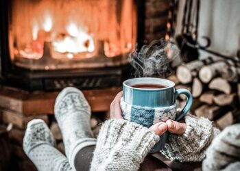 Не дрова или газ: в Украине набирает популярность «зеленый уголь»