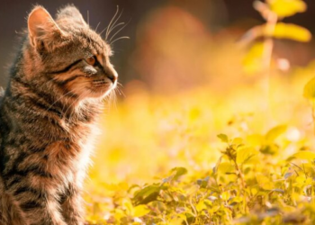 Дожди, снег и похолодание: синоптики предупредили о резких переменах погоды