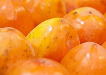 Продукти просто з поля: у Києві з 23 грудня стартують масові ярмарки