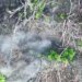 Сбили FPV бомбардировщиком: воины Железной бригады проредили численность оккупантов. ВИДЕО