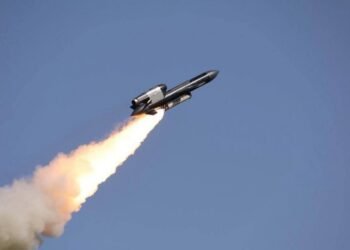 Украинские военные получили партию «Фламинго»: новые фото крылатых ракет