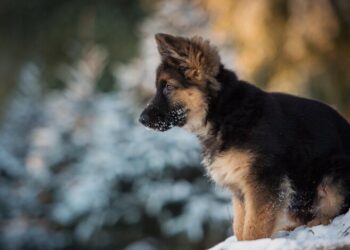Дожди накроют половину Украины: синоптик предупредила о необычной погоде