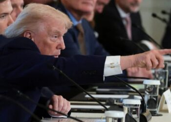 The Telegraph: В НАТО задумали, как убедить Трампа не аннексировать Гренландию