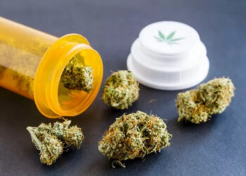 Украина впервые утвердила квоты на медицинский каннабис: что это изменит для пациентов-военных