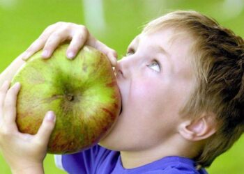 Цены взлетят весной: популярный фрукт станет «золотым» для украинцев