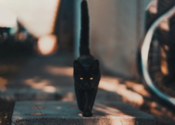 В Украину идет Азиатский антициклон: какой погоды ждать в начале недели