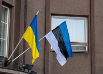Украинцам выплатят до 1000 долларов от Эстонии: кто может подать заявку