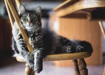 Морозы не отступают: где в Украине ждать до -20 и снега