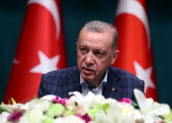 Турция может стать площадкой для мирных переговоров между Украиной и РФ, — Bloomberg