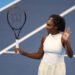 Впервые с 2021 года. Винус Уильямс получила wild card в основу Aus Open