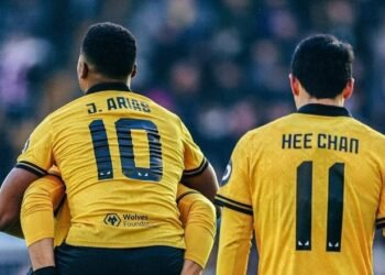 Вулверхэмптон – Ньюкасл. Прогноз и анонс на матч чемпионата Англии