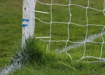 ВИДЕО. История дня. С футбольного поля – в полицейский участок