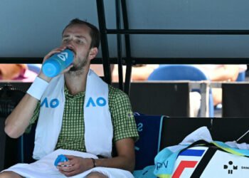 МЕДВЕДЕВ: «Олейникова? Ее мнение, и, честно, мне нечего об этом сказать»