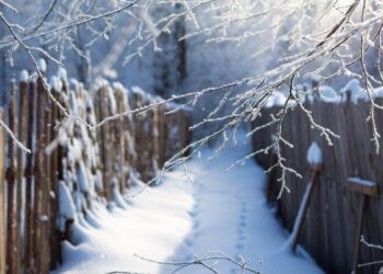 «Ультраполярное вторжение»: украинцев предупредили о лютых морозах