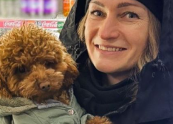 Порятунок пуделя від сильних морозів: на Київщині стався курйозний випадок, — ФОТО