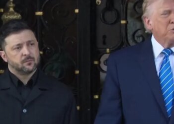 Мир за 30 дней: детали разговора Трампа с Зеленским