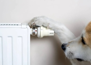 Платите сейчас, экономия — потом? Вскрылась циничная схема повышения тарифов на тепло