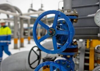 Украина сидит на избытке газа, но не может произвести собственные удобрения: Горбуненко про парадокс с ОПЗ