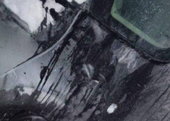 Розваги, алкоголь і пожежі на вулицях Києва: поліція затримала місцевого хулігана , — ФОТО