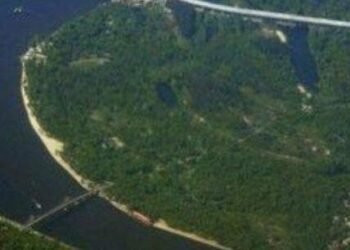 Зелені легені Києва можуть зникнути: прокуратура б’є на сполох