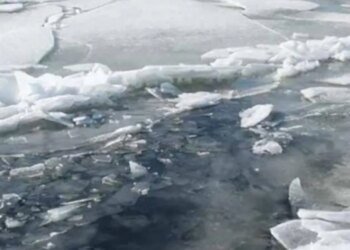 Двое детей в Киеве оказались на отколовшейся льдине посреди реки