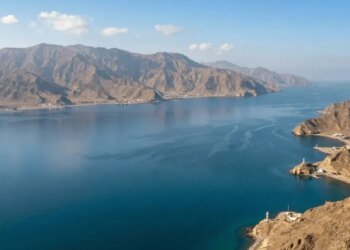 Пока Запад сомневается, одна из стран вывела военный флот для прохода в Ормузском проливе