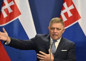 От злоупотребления властью до терроризма: полиция Словакии начала расследование деятельности Фицо