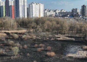 Вогонь охоплює Київ: за день вигоріло майже 15 тисяч “квадратів” екосистем