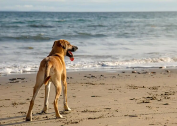 Резкое похолодание и дожди: синоптик назвала последнюю теплую дату