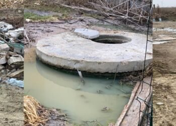 Загроза людям і довкіллю: на Київщині нечистоти біля житлових будинків