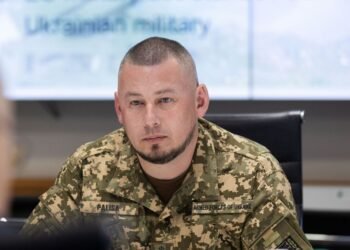 Все военные в Украине будут иметь четкие сроки службы и отсрочку после контракта, — Палиса