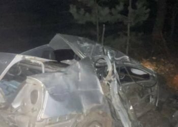 Смертельна аварія на Київщині: п’яний водій з’їхав з дороги та врізався у дерево