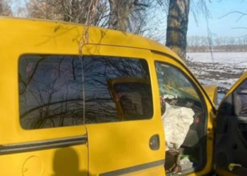 Смертельний удар і зламане дерево: на Київщині розслідують нещасний випадок, — ФОТО