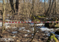 Смертельна небезпека в лісі Києва: що знайшла поліція і чому заборонено рух, — ФОТО