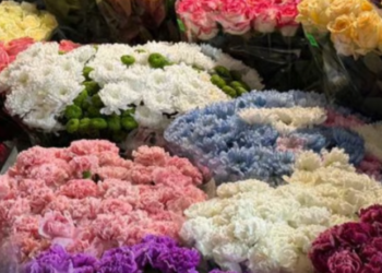 Квіти “зникають” з полиць: що відбувається в крамницях Києва, — ФОТО