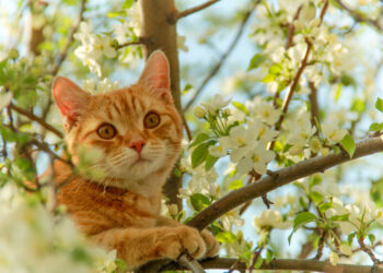 Тепло сменится «минусом»: Диденко назвала точную дату резкого похолодания в Украине