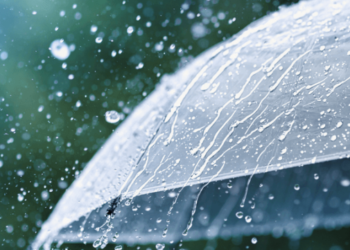 Шквальний вітер та дощі: на Київщині різко знизиться температура