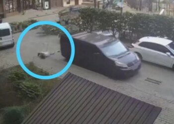 В Луцке беременная женщина упала во время конфликта с сотрудниками ТЦК: её госпитализировали. ВИДЕО