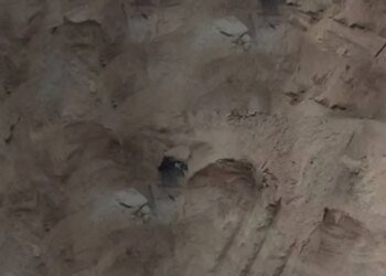 В Хмельницкой области мужчину засыпало грунтом — он погиб