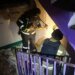В Краматорске российский дрон попал в девятиэтажный дом. ВИДЕО