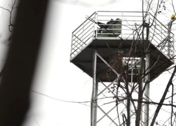 Частная ПВО в Украине уже сбивает «шахеды»: как работает система и кто может заказать защиту